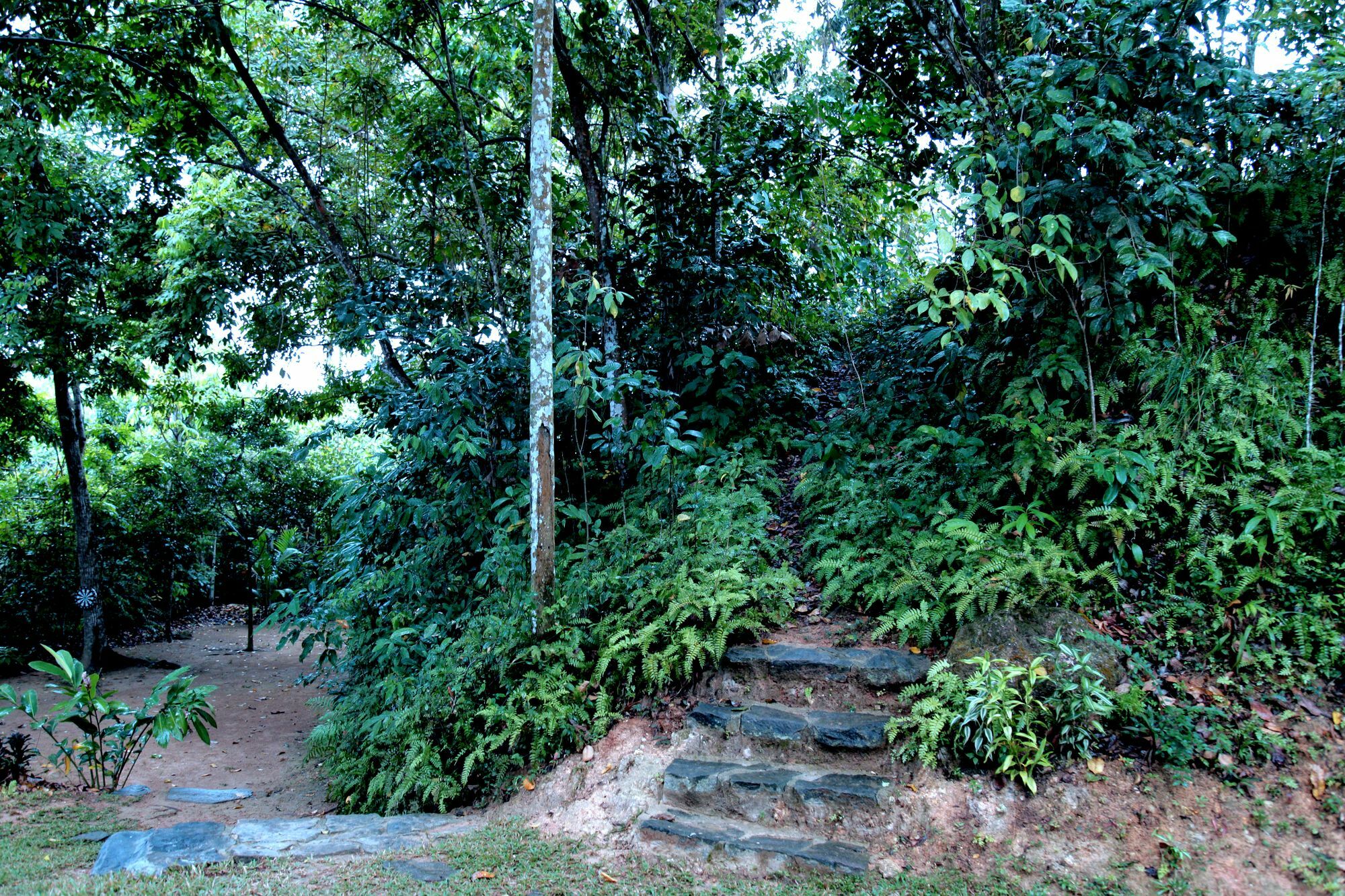 Ceylon Olive Galle Exterior photo