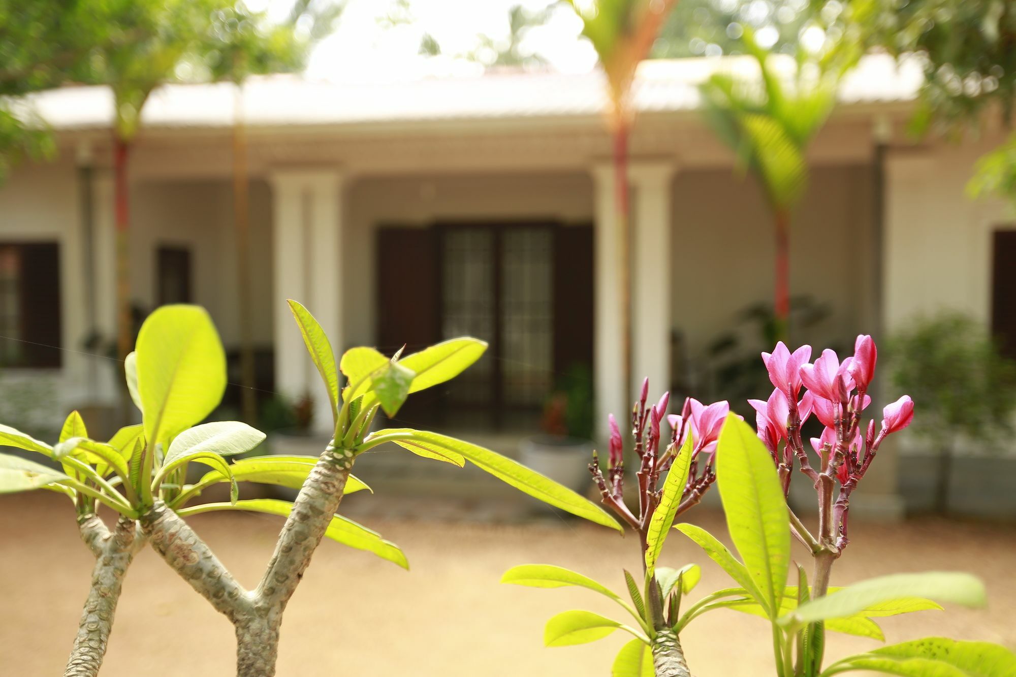 Ceylon Olive Galle Exterior photo